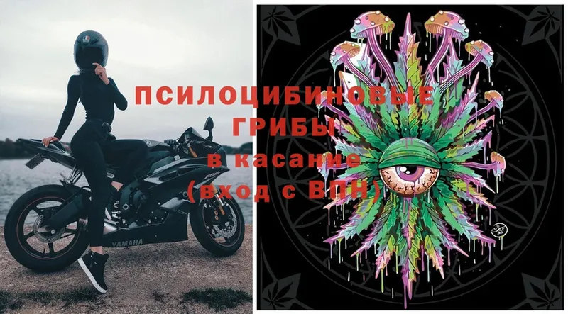 shop наркотические препараты  хочу   Иркутск  Псилоцибиновые грибы MAGIC MUSHROOMS 