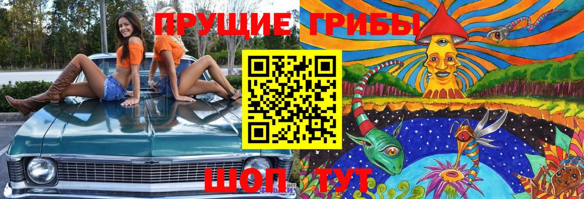Иркутск  Псилоцибиновые грибы GOLDEN TEACHER  Вход с VPN 