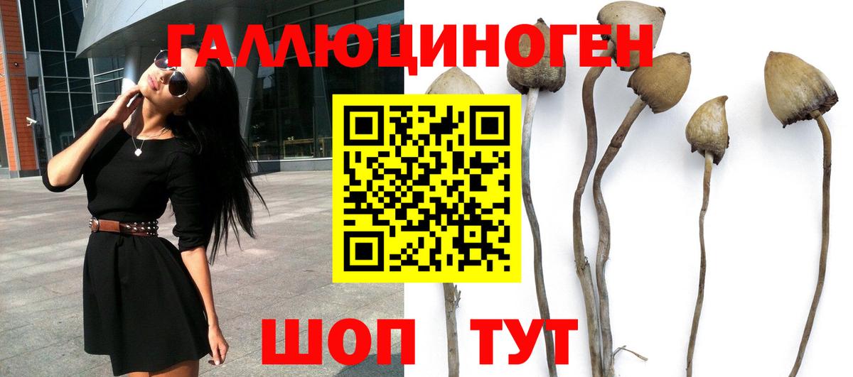 Галлюциногенные грибы Cubensis Иркутск